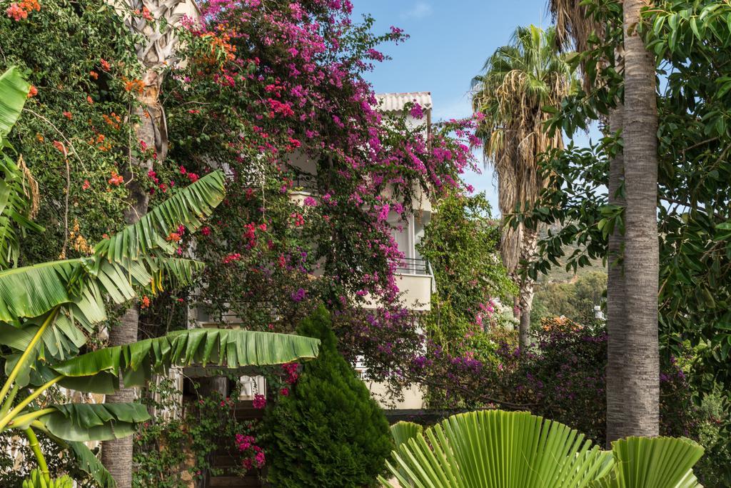 Pataros Hotel Patara Exterior photo